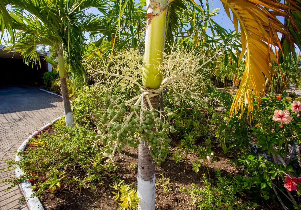 Nature'S Choice Home Richmond Palms, Jamaica ภายนอก รูปภาพ
