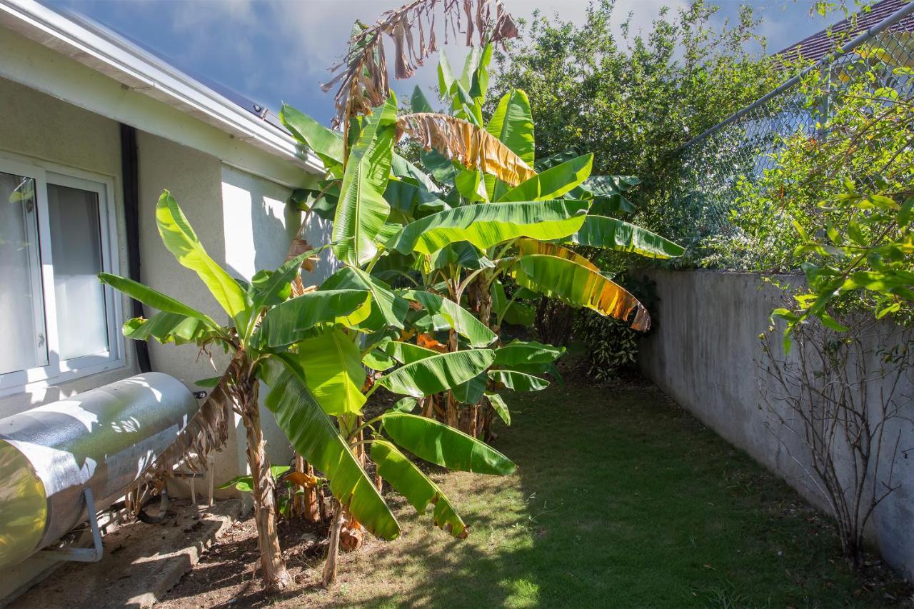 Nature'S Choice Home Richmond Palms, Jamaica ภายนอก รูปภาพ