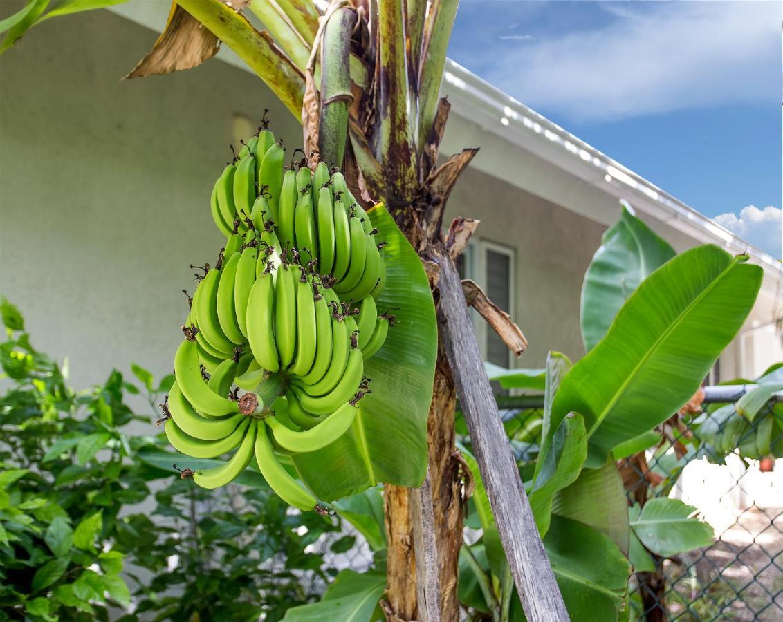 Nature'S Choice Home Richmond Palms, Jamaica ภายนอก รูปภาพ